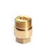 brass pressure relief valve