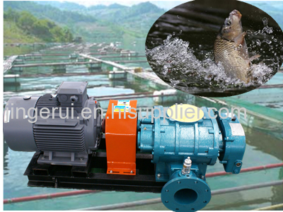 Oxygen increasing roots blower Aeration roots blower--fengyuan