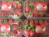 Fresh Egyptian Strawberry for export