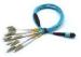 LSZH Jacket MPO Patch Cord 8 Core / 12 Core OM3 SM MM With Length Customized