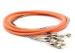 2.0 / 3.0mm Optical Fiber Pigtail Flexible SM MM OM4 OM3 FC 4 - 48 Core For WAN