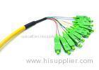 CATV / ODF SC Optical Fiber Pigtail 12 Core Bundle With Zirconium Dioxide Ferrule