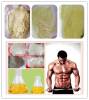 Fitness Steroid Powder Revalor-H Bodybuilding Supplement Trenbolone