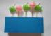 Cute Fish Shape Birthday Party Candles Non - Toxic With Plastic Pick