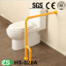 Toilet Accessible Grab Bar