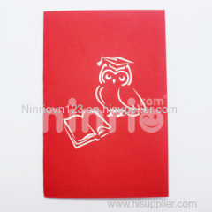 Owl graduated Pop Up Card Handmade Greeting Card