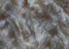 Width 150-240cm Plush Faux Fur Fabric Swirl Embossed Different Color