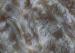 Width 150-240cm Plush Faux Fur Fabric Swirl Embossed Different Color