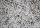 Flame Retardant 12mm Pile 100% Polyester Pv Plush Fabric One Side For Bedding Set