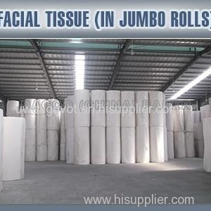 Facial Tissue (in Jumbo Rolls)