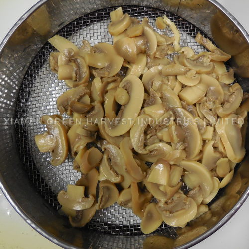 canned mushroom slice in tin for export new crop new price cheap