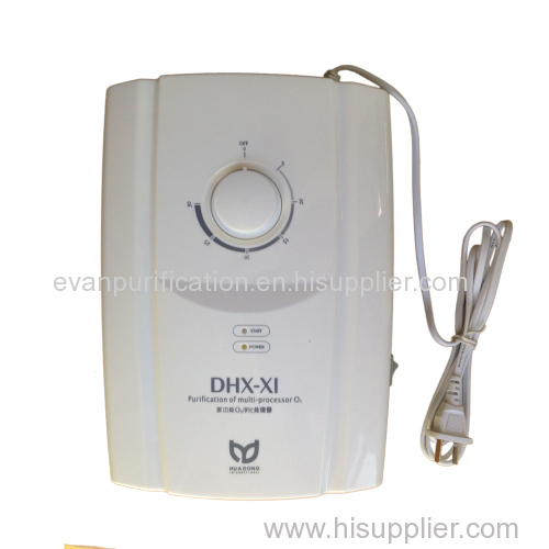 1Year Gurantee! Water and Air Ozone Purifier 200mg/400mg Optional in One Body Timer 0-30mins Plug Converter + Free Shipp