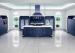 Frameless Blue European Style Kitchen Cabinets Raised Panel PVC Door U Shape