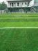 Corrosion Resistance Synthetic Grass Infill Good Water Permeability
