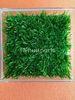 Eco Friendly Artificial Turf Infill Provide Safety UV Resistant For Sports
