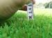 Closed Cell Rubber Or Foam Underlay For Fake Grass Environmental Protection
