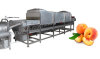 Automatic Peach Peeling Machine