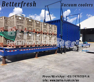 Vacuum chiller cooler cooling machine