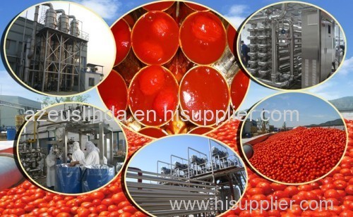 Tomato Paste Production Line