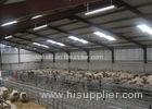 Welded Craft Agricultural Structural Steel Building Construction Anti Rust Painting Steel Columns