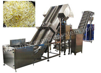 Bean Sprouts Packaging Machine