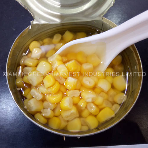 Canned sweet kernel corn170/340/425g produced in China new crop for sale