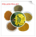 Cell-wall broken bee pollen powder