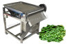 Green Soy Bean Peeling Machine