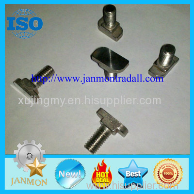 T bolt T bolts Special T bolt Special T bolts T type bolt T type bolts Steel T bolt Steel T bolts T head bolt T bolts304