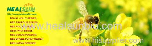 Bee propolis Extract Powder