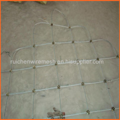 Slope protection wire mesh from China factory