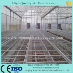 welded wire mesh panel/welded wire mesh sheet/mesh panel/mesh sheet