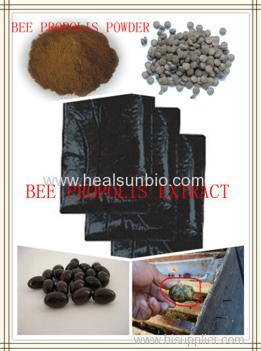 Bee propolis Extract Powder