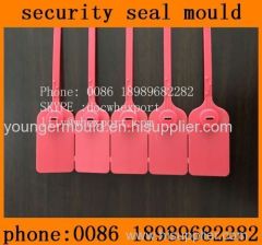 plastic cable security zip seals mould manufacture