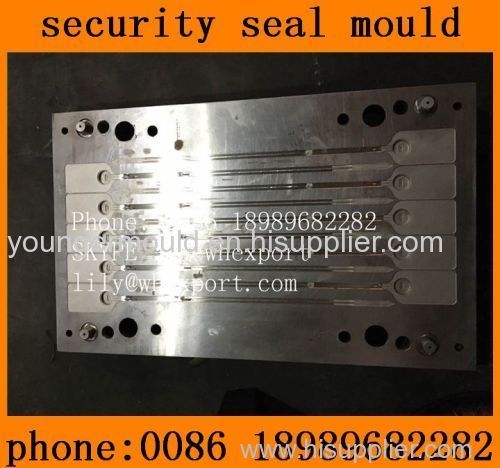 plastic security cable zip tie seal injection moulds