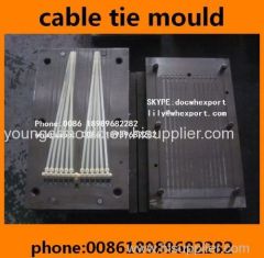 nylon zip cable tie moulds molds manufactory