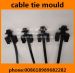 nylon cable tie mould