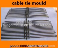 nylon zip cable tie moulds molds manufactory
