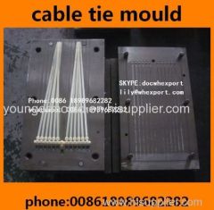automotive plastic screw head mount nylon cable tie injection moulds