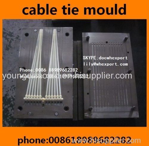 automotive car plastic nylon cable tie mould manufacture