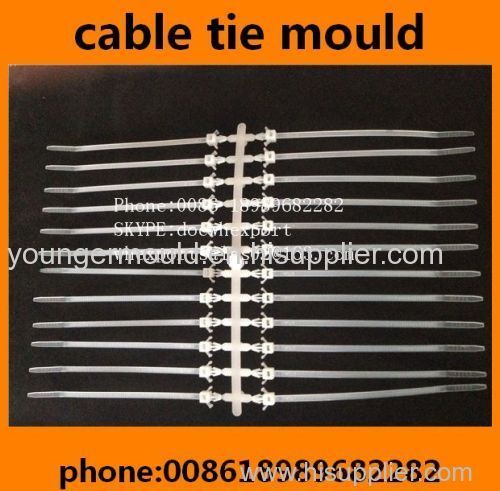 automotive plastic screw head mount nylon cable tie injection moulds