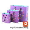 Purple Paper Gift Bags 250 Grams Ivory Board Paper Shopping Bags With Nylon Strings