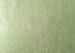 60wl30p10other olive Color plain Melton Wool Fabric for all people