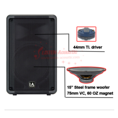 12 inch High Quality Plastic Yamaha DBR series Speaker Box with DSP Amplifier Module PIX12D-300