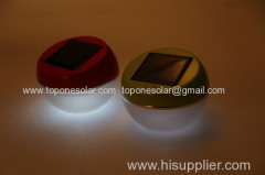 Solar LED Reading Light