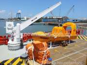 Single Arm Slewing Davit