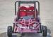 110cc Kids Off Road Go Kart Two Seats Rear Rack With CVT Transmission / Reverse