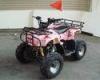 Single Cylinder 110cc Atv Quad Bike SHINERAY 4 Stroke With Rear Rack