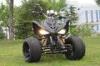 Spy Style Utility Vehicles ATV 250cc With Manual Water - Cooled 2 Seater Quad Bike