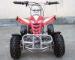2 - Stroke 50cc Atv Quad Bike With Front / Rear Disc Front / Rear Shock Absorber